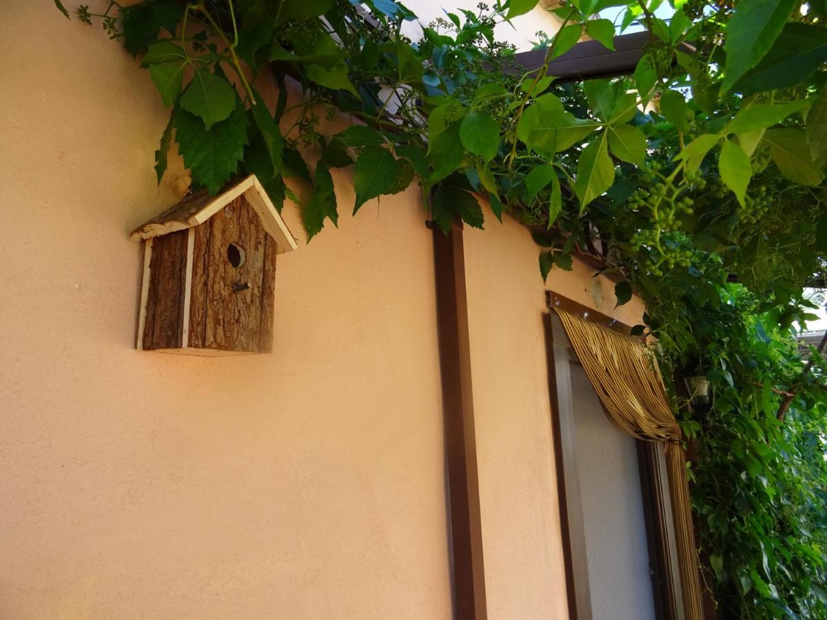 La Muntanya - Apartamentos Rural Guadalest Benimantell Exteriör bild
